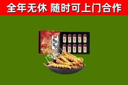 随州回收冬虫夏草价格